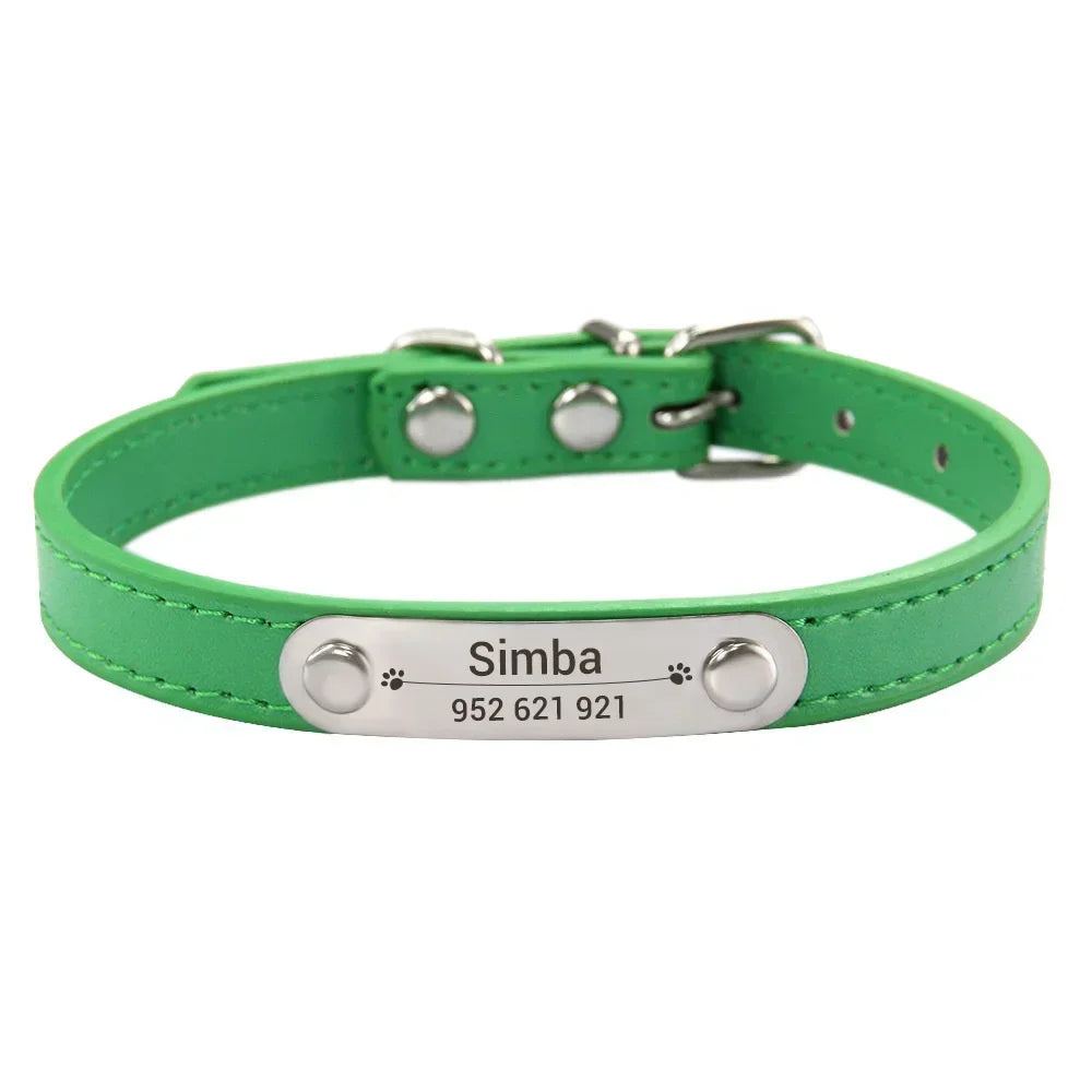 Combo collar para gato