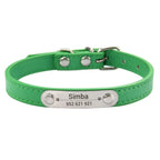 Combo collar para gato