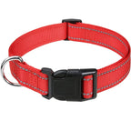 Combo collar para perro