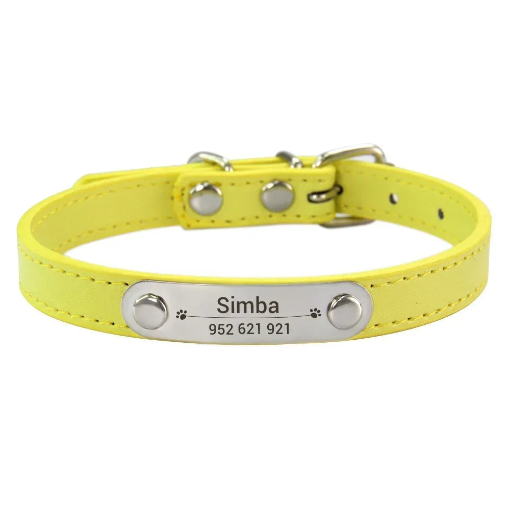 Combo collar para gato