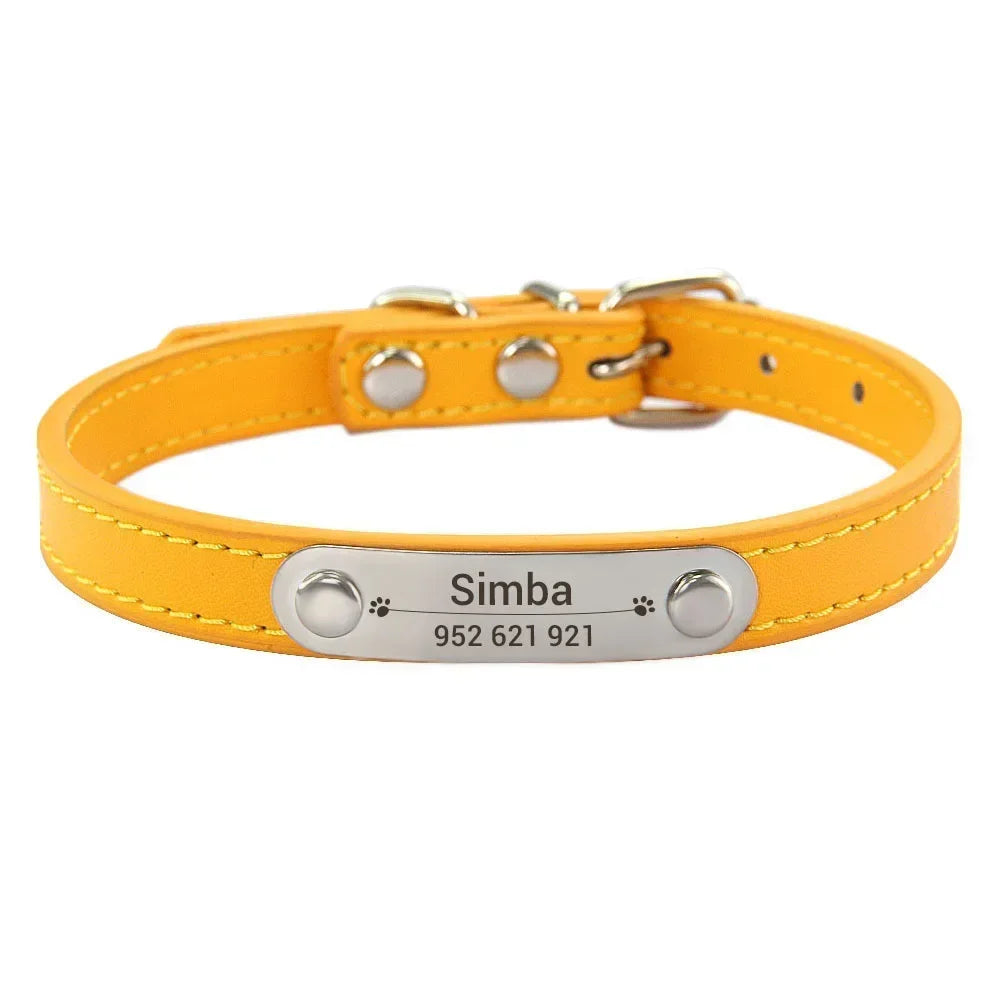 Combo collar para gato