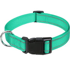 Combo collar para perro