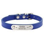Combo collar para gato