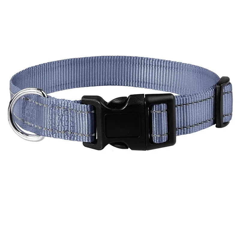 Combo collar para perro
