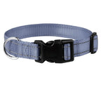 Combo collar para perro