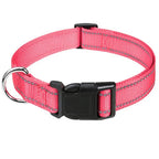 Combo collar para perro