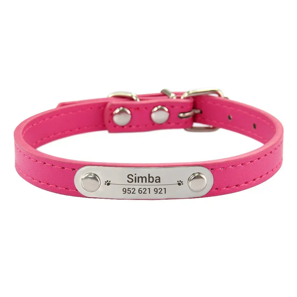 Combo collar para gato