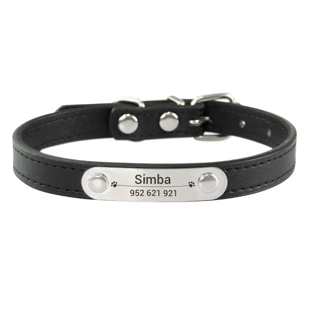 Combo collar para gato