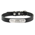 Combo collar para gato