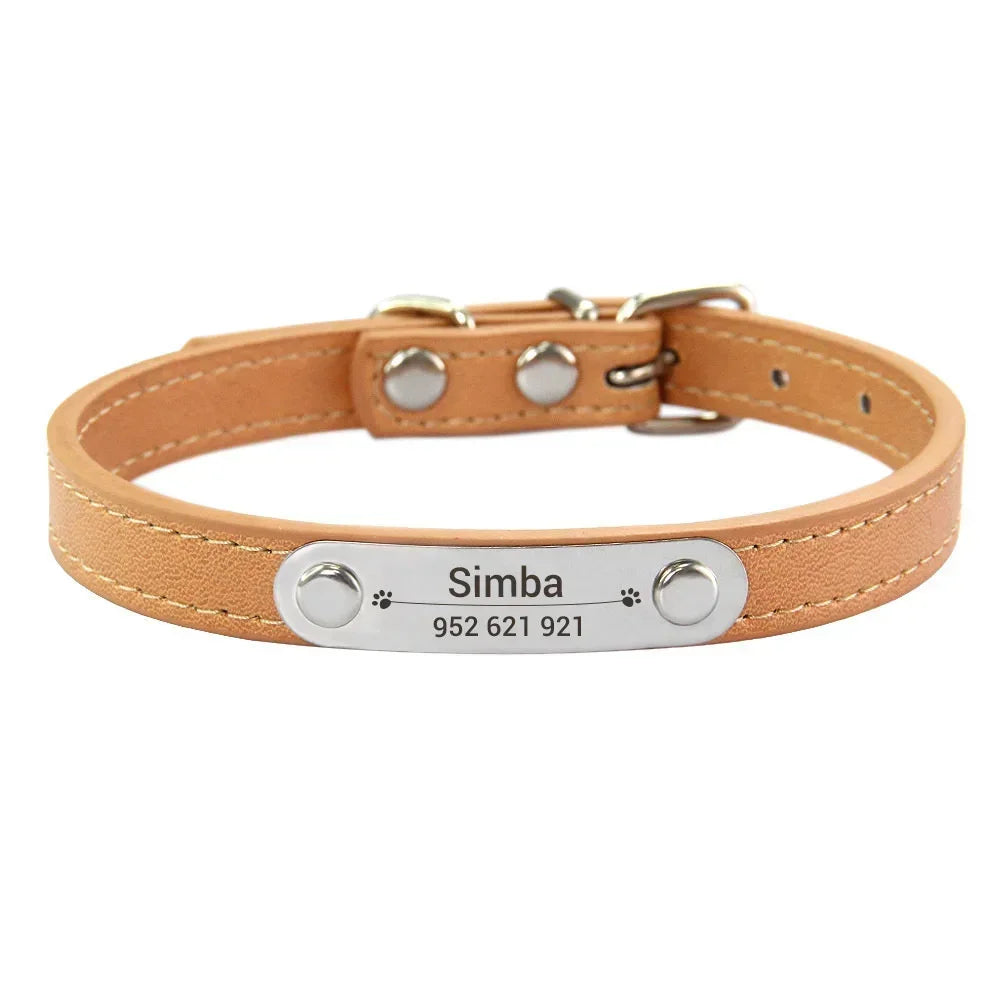 Combo collar para gato