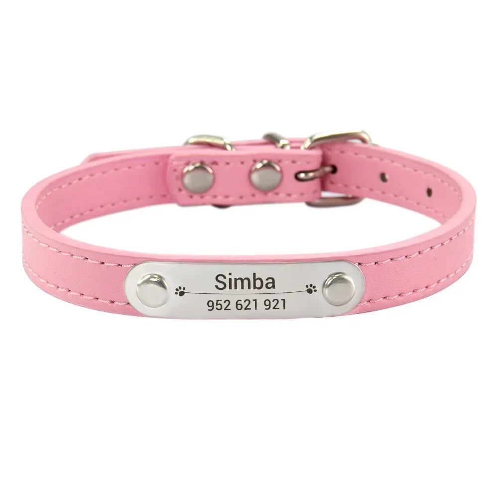 Combo collar para gato