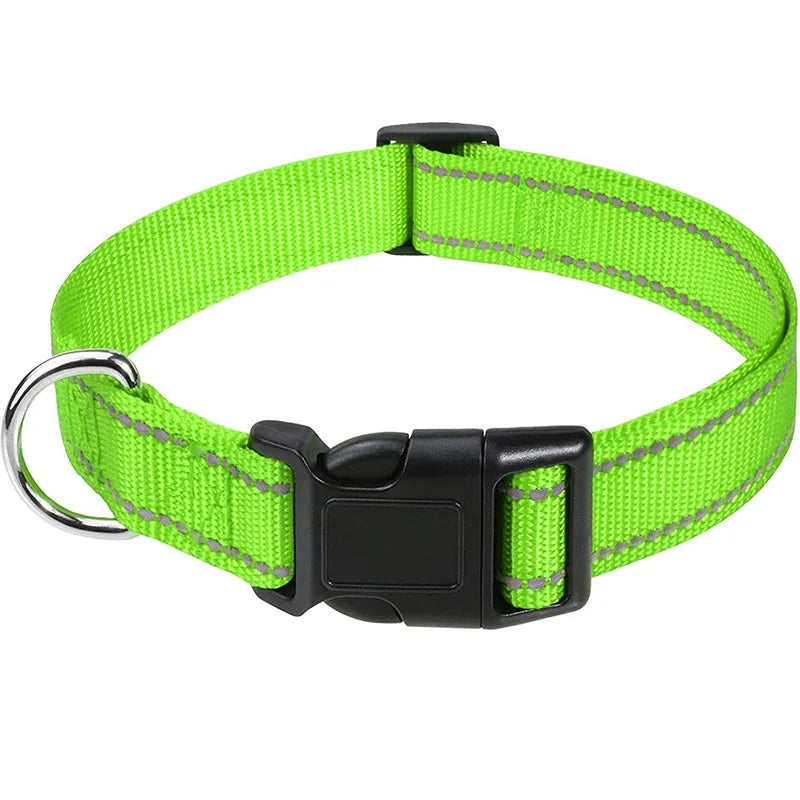 Combo collar para perro