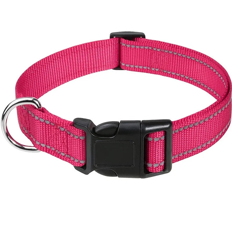 Combo collar para perro