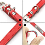 Combo collar para gato