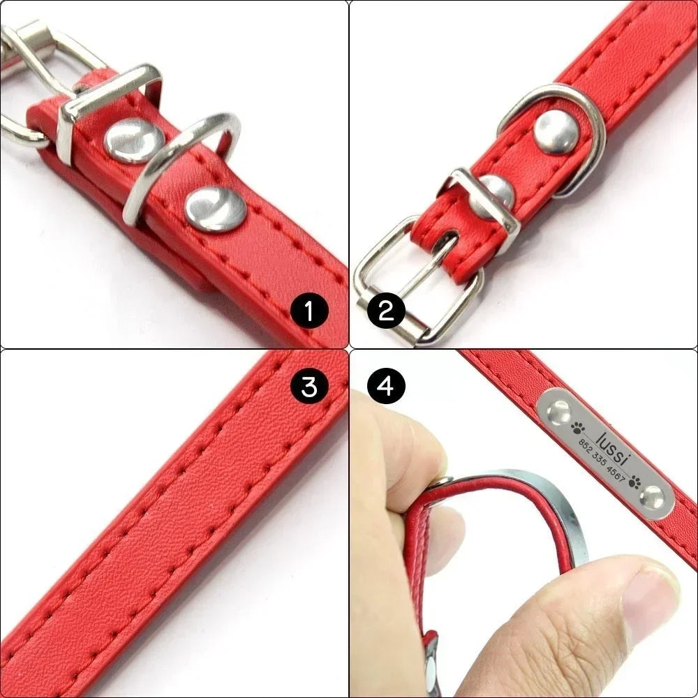 Combo collar para gato