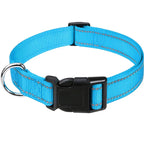 Combo collar para perro
