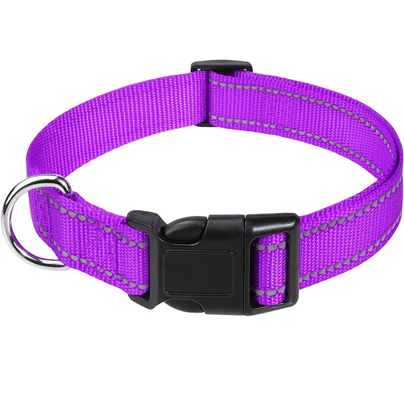 Combo collar para perro