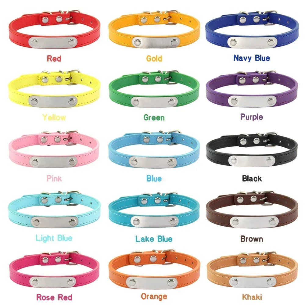 Combo collar para gato