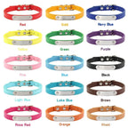 Combo collar para gato