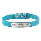 Combo collar para gato