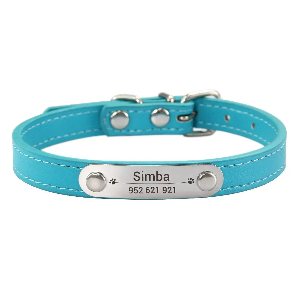 Combo collar para gato