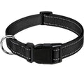 Combo collar para perro