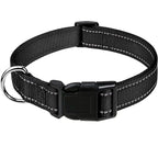 Combo collar para perro