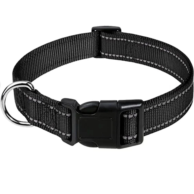 Combo collar para perro
