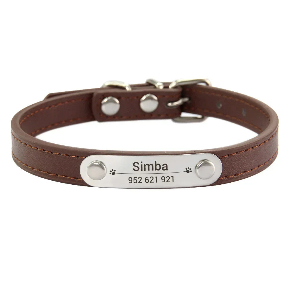 Combo collar para gato