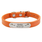 Combo collar para gato