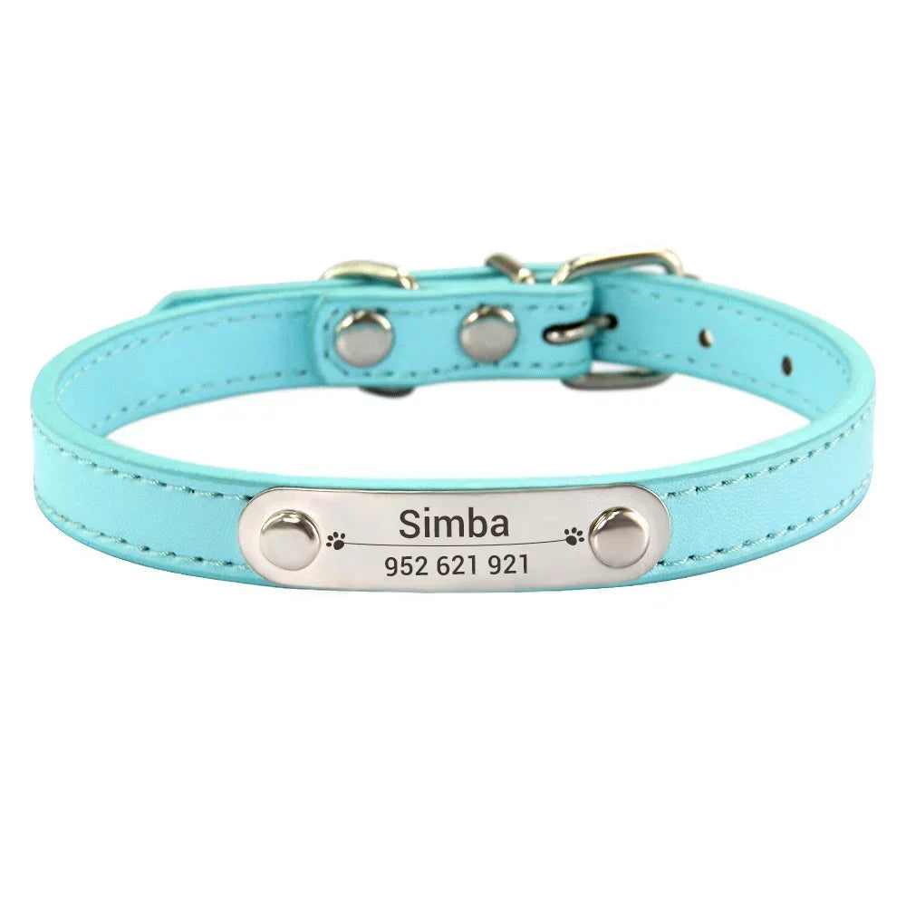 Combo collar para gato