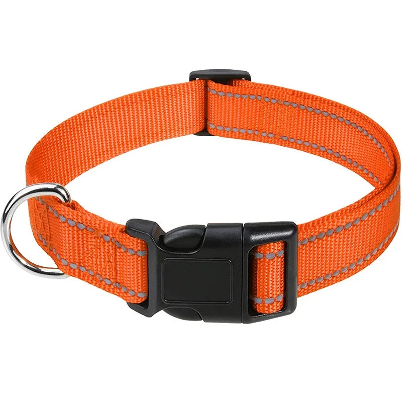 Combo collar para perro