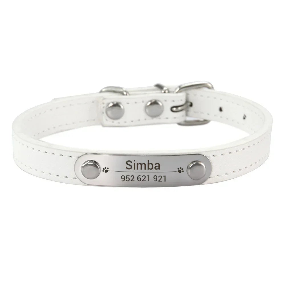 Combo collar para gato