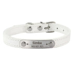 Combo collar para gato