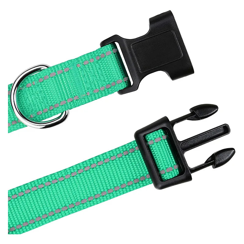 Combo collar para perro