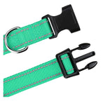 Combo collar para perro