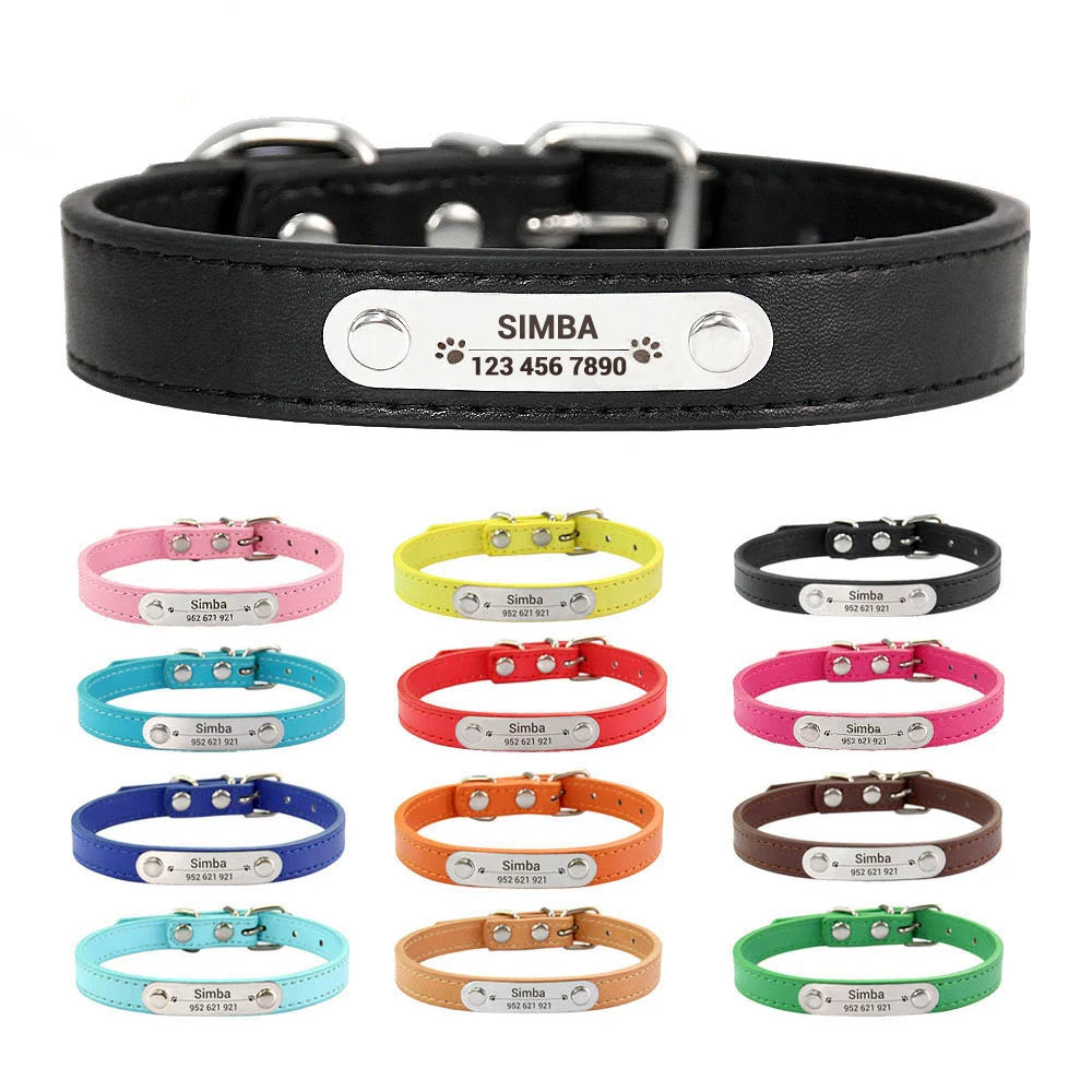 Combo collar para gato