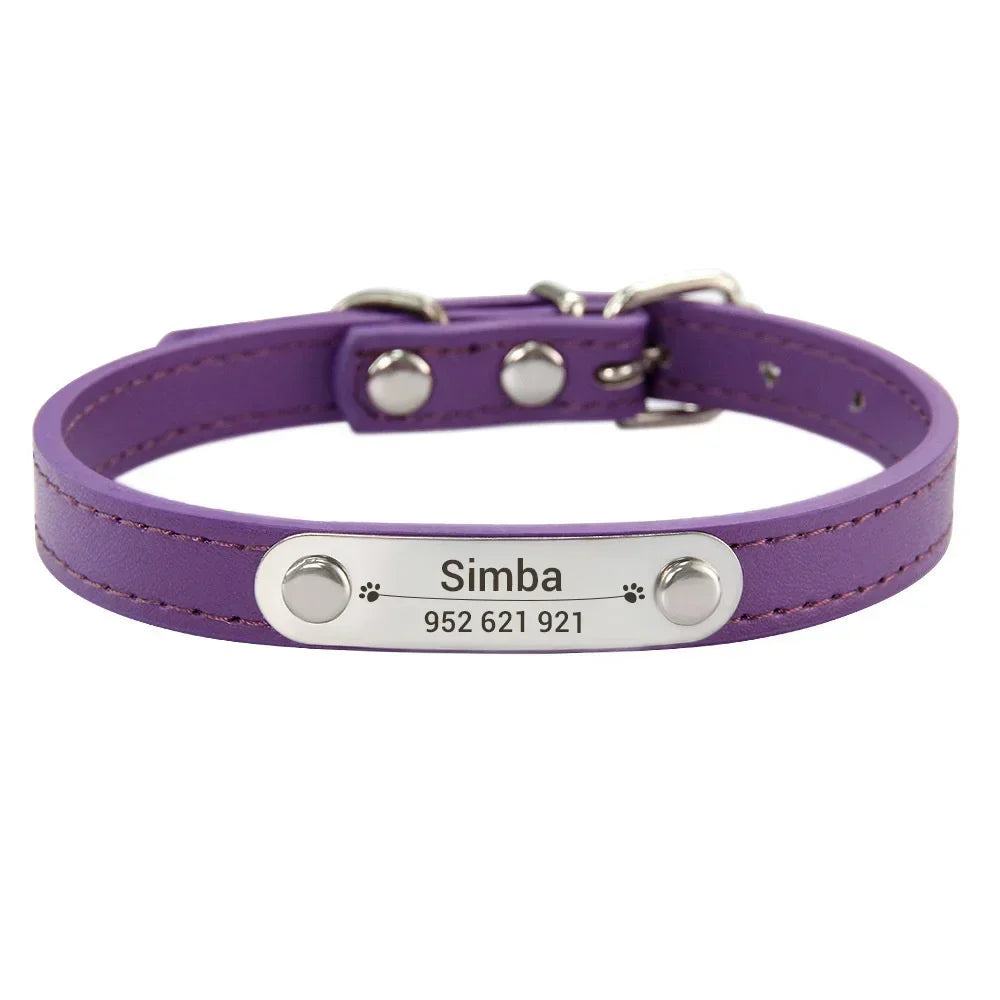 Combo collar para gato