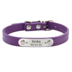 Combo collar para gato