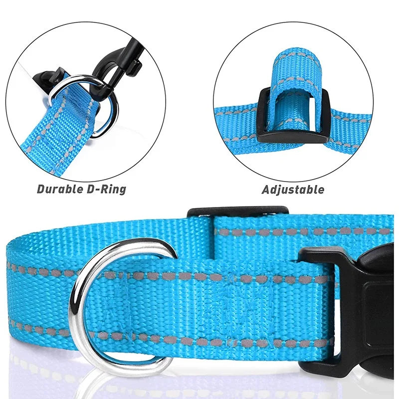 Combo collar para perro