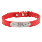 Combo collar para gato