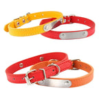 Combo collar para gato