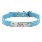 Combo collar para gato