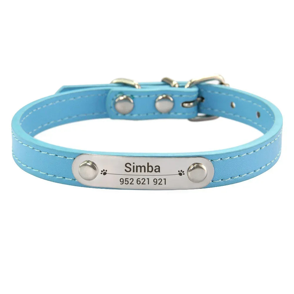 Combo collar para gato